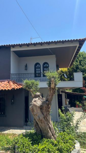 Greek Mansion